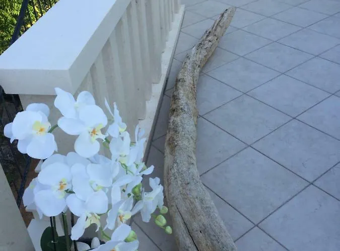 Daniela Apartment Korčula