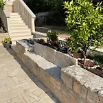 Daniela קורצולה