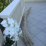 Daniela דירה קורצולה