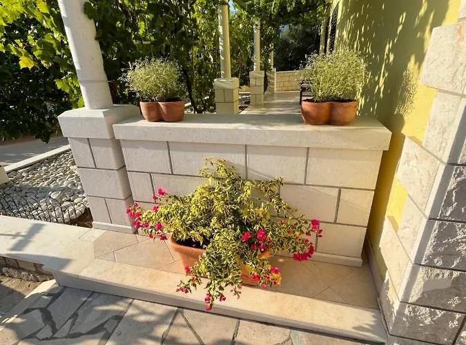 Daniela * كورتْشولا