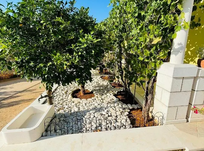 Daniela * كورتْشولا