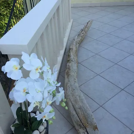 Daniela Διαμέρισμα Κόρτσουλα